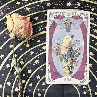 Scorpio Season & The Tarot