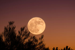 Full Moon in Aries Tarot Spread