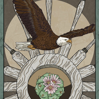 The Wheel of Fortune As Orientation