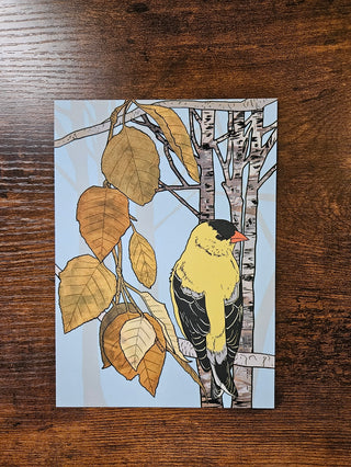 Goldfinch and Birch Tree Postcard