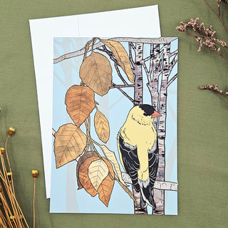 Goldfinch and Birch Tree Postcard