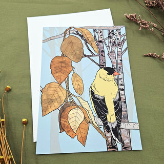Goldfinch and Birch Tree Postcard