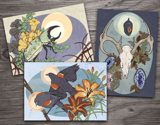 Animal Symbolism Illustrated Postcards