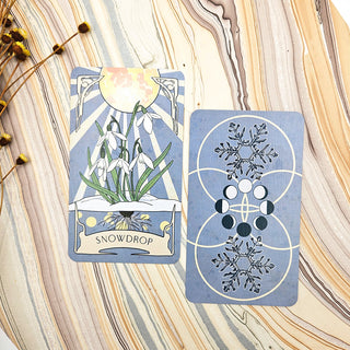 Seasonal Wilds Reflection Pack: Snowdrop