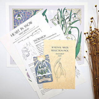 Seasonal Wilds Reflection Pack: Snowdrop