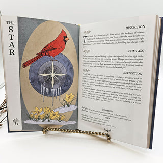 Guidebook to the Forager's Daughter Tarot: Afterlight Edition