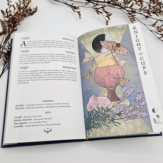 Guidebook to the Forager's Daughter Tarot: Afterlight Edition