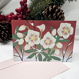 Scenes of Winter: A Collection of Illustrated Botanical Postcards (5-Pack)