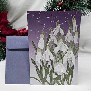 Scenes of Winter: A Collection of Illustrated Botanical Postcards (5-Pack)