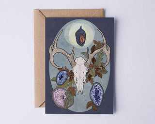 Animal Symbolism Illustrated Postcards