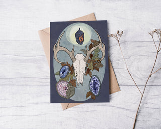 Animal Symbolism Illustrated Postcards